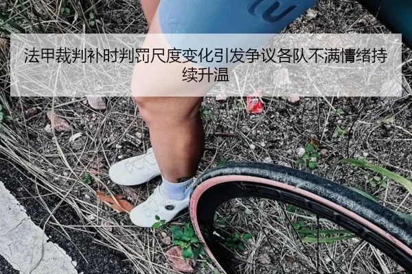 法甲裁判补时判罚尺度变化引发争议各队不满情绪持续升温
